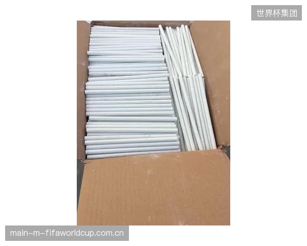 当挡雪墙锚固风载演证沦为一纸报告,谁来为赛道未来十年的动态风场变化和材料老化负责? 当挡雪墙锚固风载演证沦为一纸报告,谁来为赛道未来十年的动态风场变化和材料老化负责?